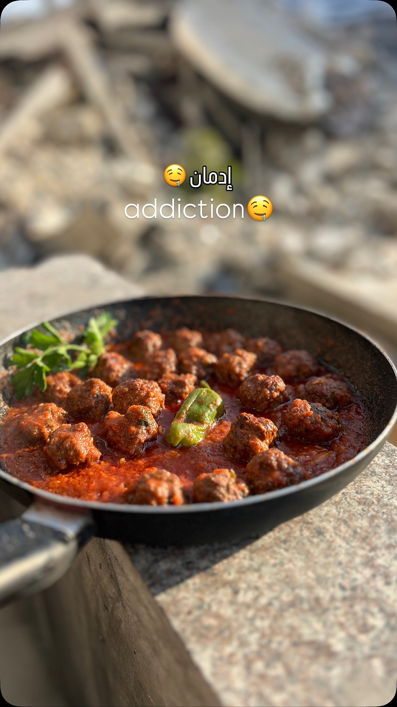 Meatballs in Tomato Sauce — Tender meatballs simmered slowly in a rich homemade tomato sauce — a family favorite over rice or mash.